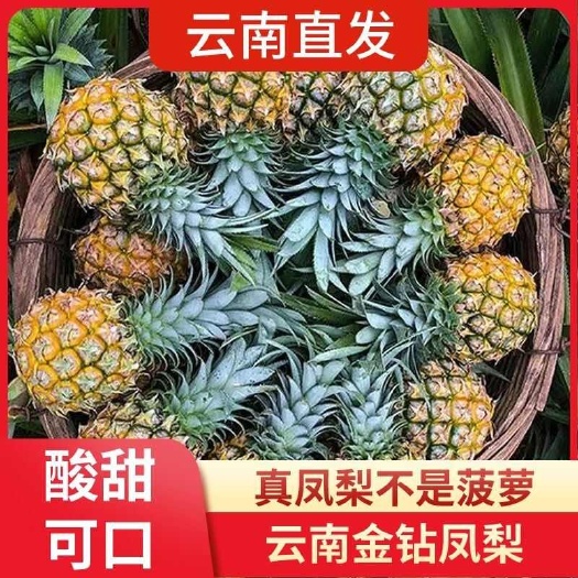【突破低价】云南香水小菠萝新鲜水果超甜手撕凤梨大果整箱批发价