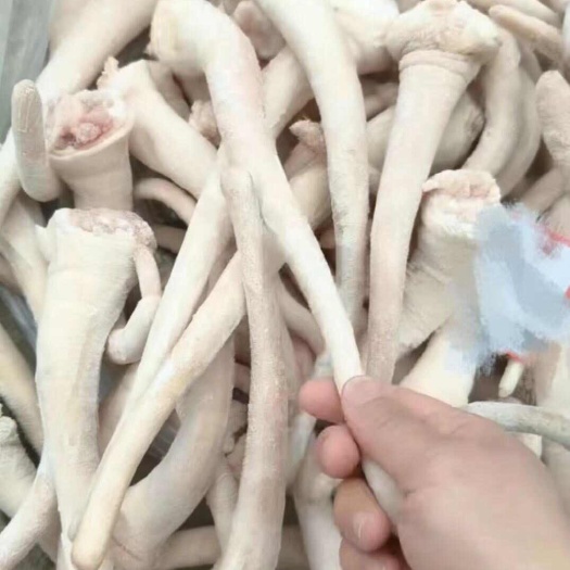 新乡肥猪母猪长中短尾