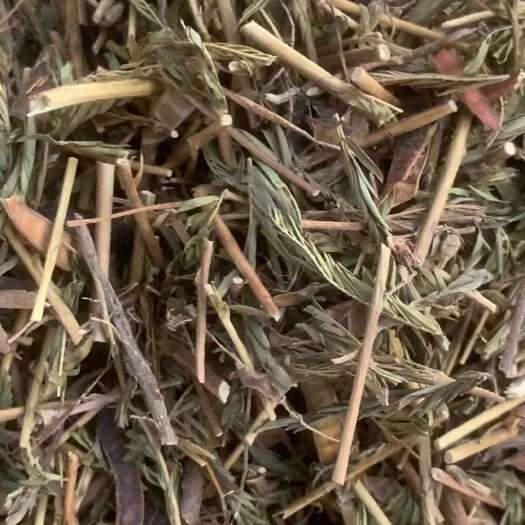玉林长期供应｛软肝草｝可批量可零售量大从优【包邮】
