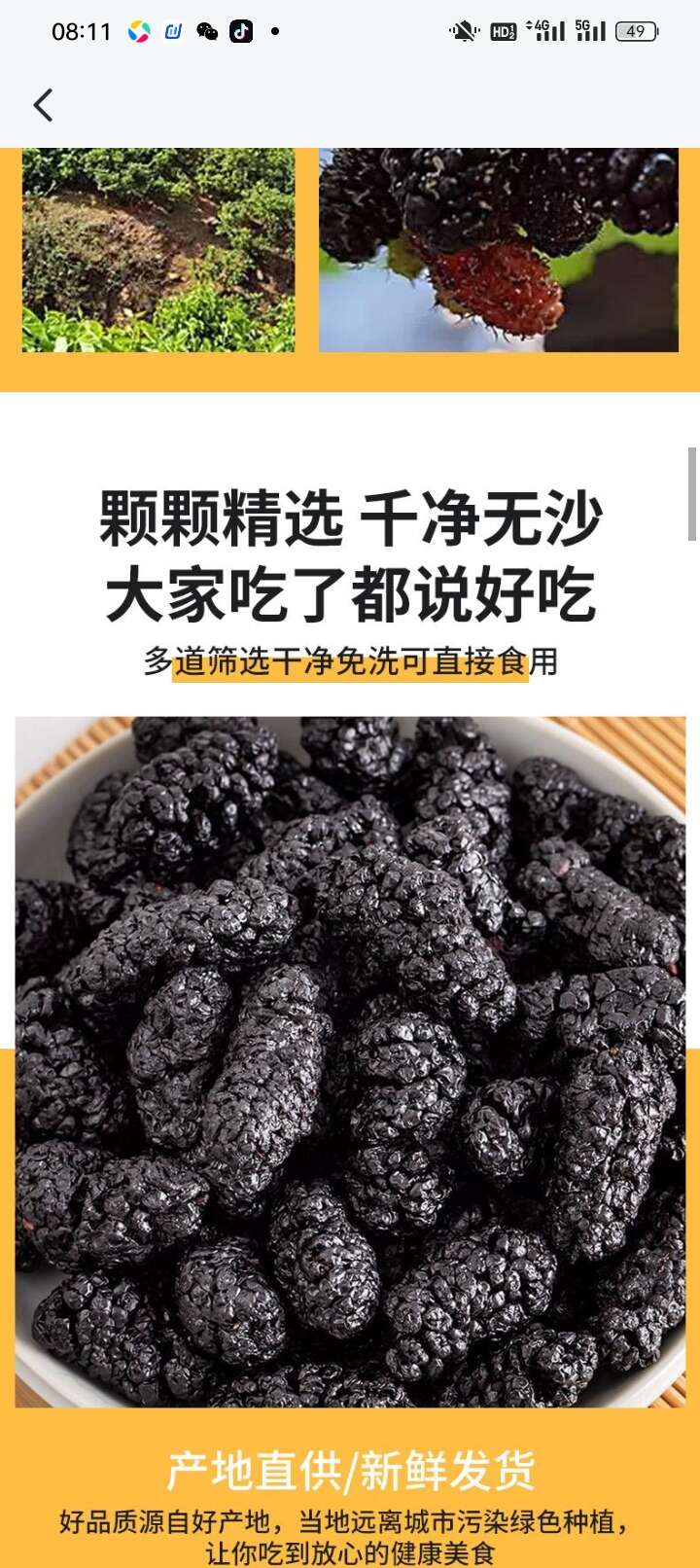 黑桑椹