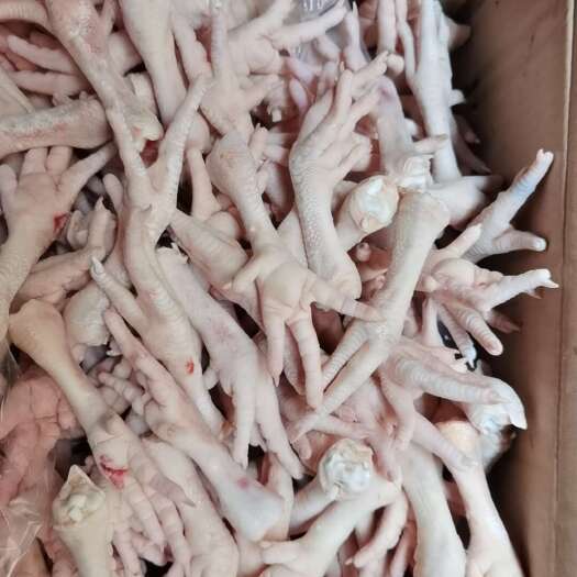 昆山市单冻鸡爪
