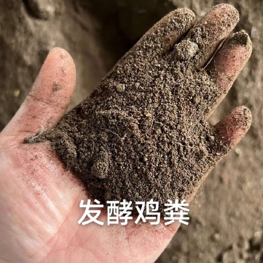 连云港罐体肉鸡粪  发酵鸡粪   有机肥
