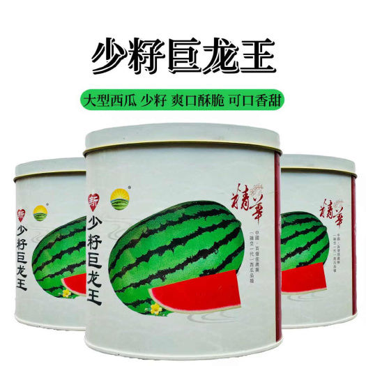 宿迁少籽巨龙王西瓜种子爽口酥脆大型西瓜种子
