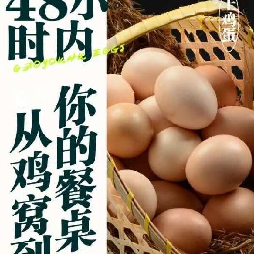 苏州自家太湖散养土鸡蛋