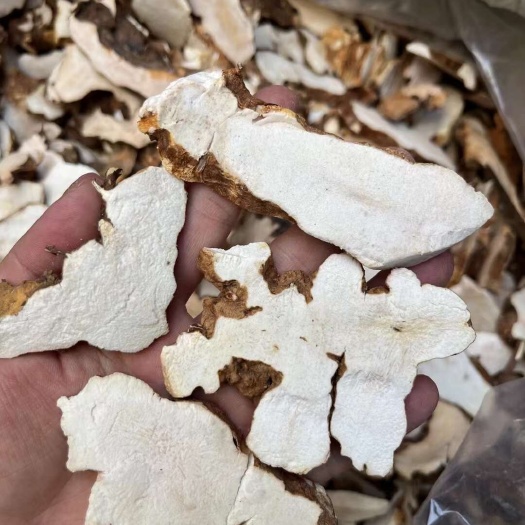 和平县本地土茯苓片，粉质土茯苓，白肉土茯苓，大片过筛
