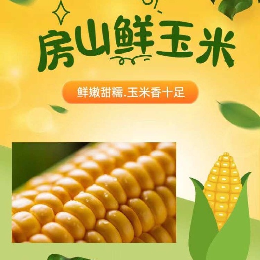 鲜玉米
