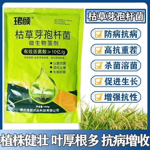 寿光市枯草芽孢杆菌防病抗病增加抗性增产增收、活化土壤、生根壮苗