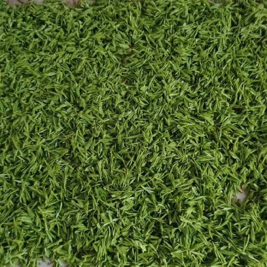 湖州龙井茶
