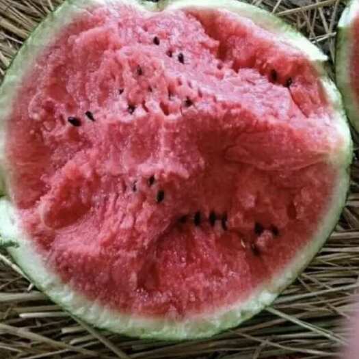 夏县西瓜