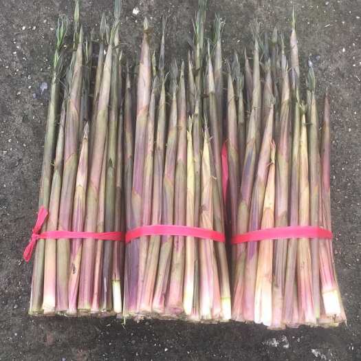 永兴县新鲜现拔现货野生小竹笋湖南特产带壳高山鲜笋甜嫩山笋