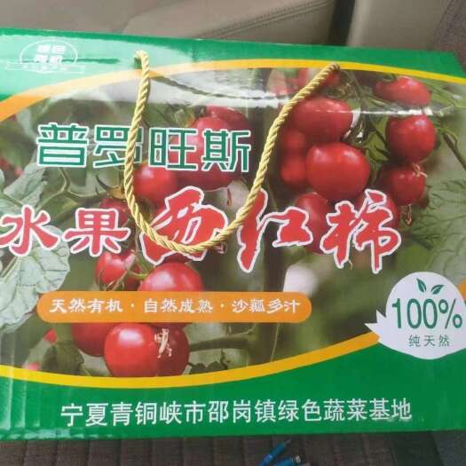 永宁县水果普罗旺斯西红柿