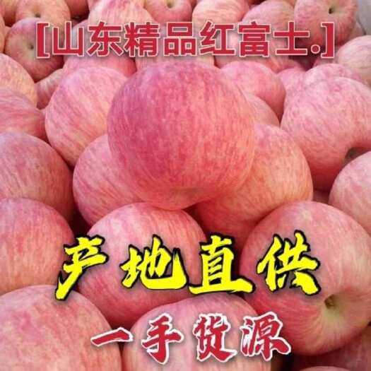红富士苹果 山东苹果 产地供应 电商 商超批发对接 质廉价优