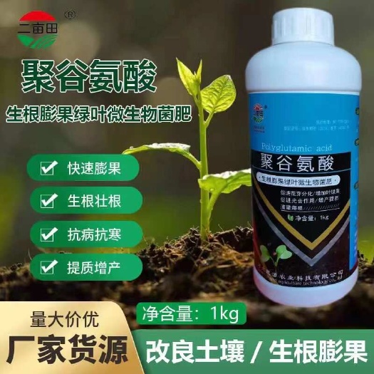 邯鄲聚谷氨酸