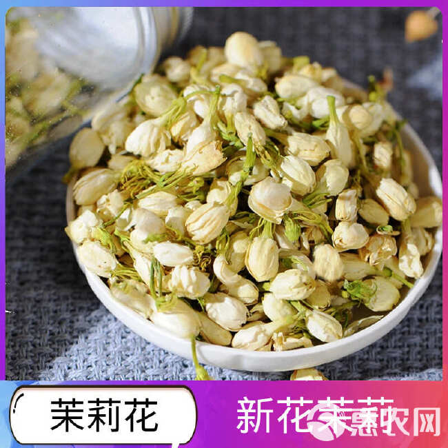 茉莉花茶 批发优质茉莉花 产地一手货源 新货干货茉莉花