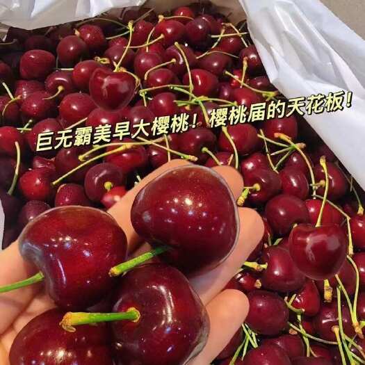 临朐县【全国代发】美早樱桃，现摘现发，个头大且甜，欢迎老板电联