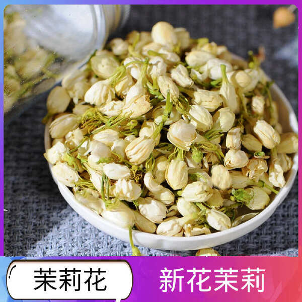 茉莉花茶 批发优质茉莉花 产地一手货源 新货干货茉莉花