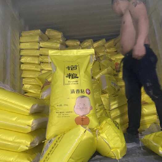 广州江苏米
