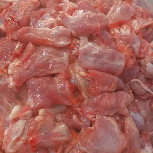 河间市羊蛋肉，蓝仙子肉，精修纯干