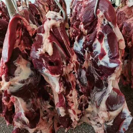 阳信县纯干鲜牛肉清真