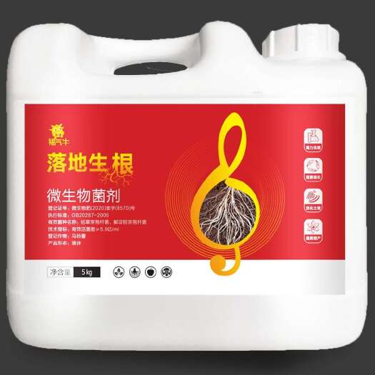 新郑市生根肥，无激素，不伤根不伤苗