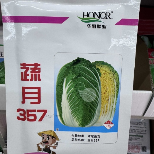 华耐种业蔬月357早熟娃娃菜种子白菜种子春秋两用高产