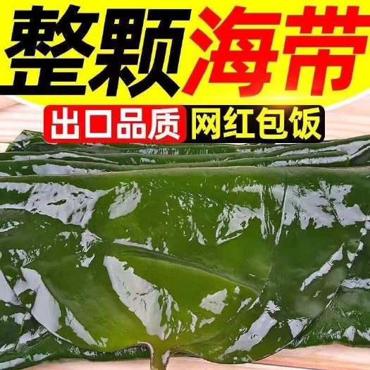 大连新鲜盐渍整颗海带鲜嫩包饭厚海带非裙带菜海藻菜少盐凉拌菜一