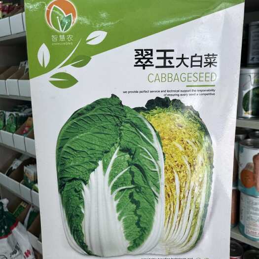 淮安翠玉大白菜种子耐抽苔白菜外叶深绿内叶鲜黄叶球紧实黄心白菜种孑