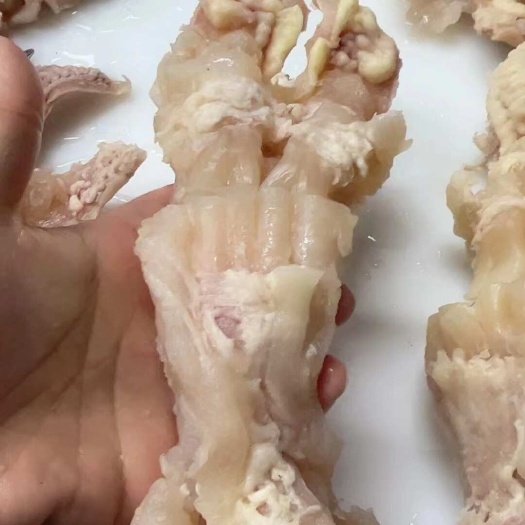 熟牛主筋