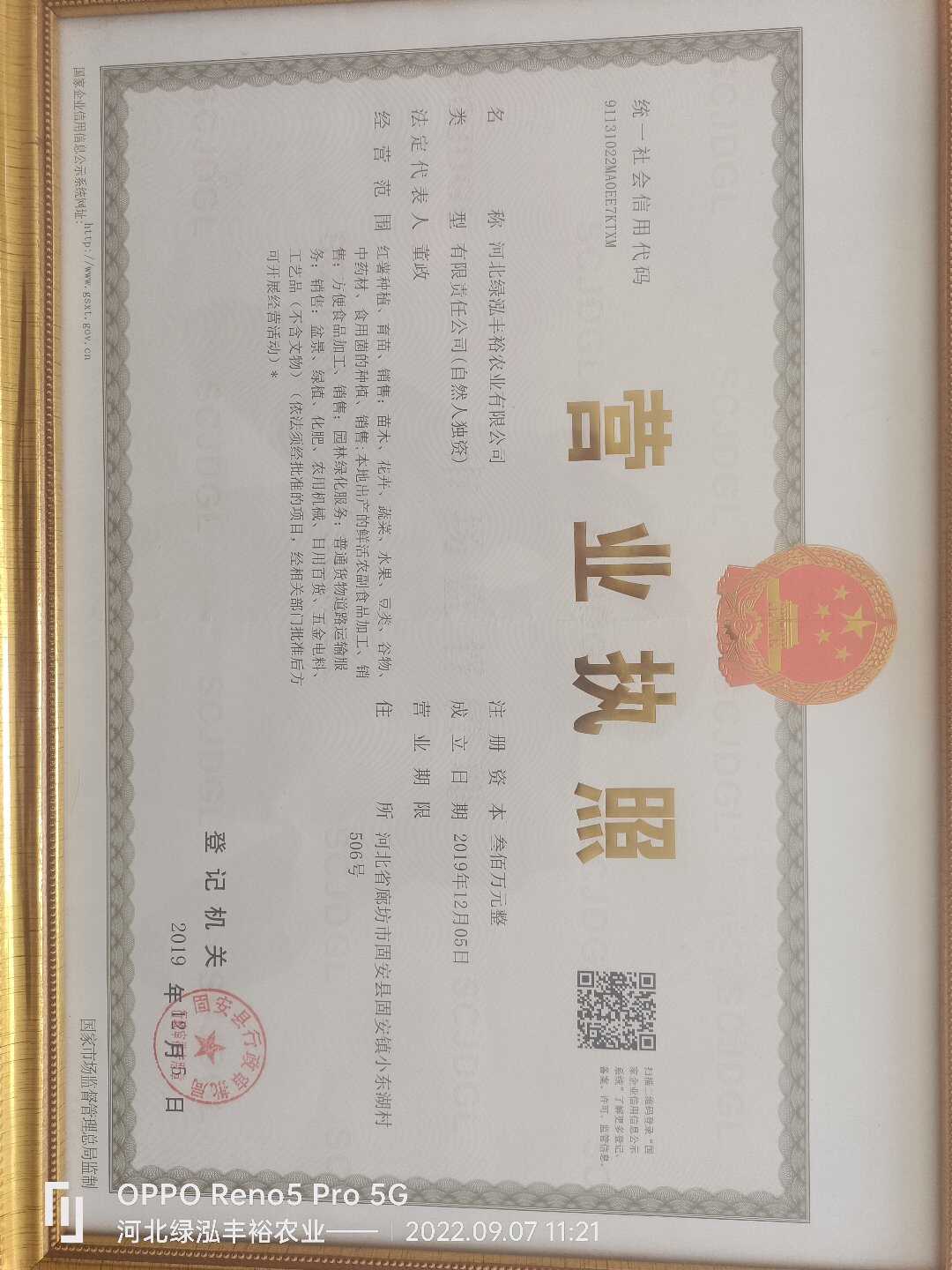 脫毒煙薯25紅薯苗，板栗薯苗，紫薯苗，哈密苗，密薯苗