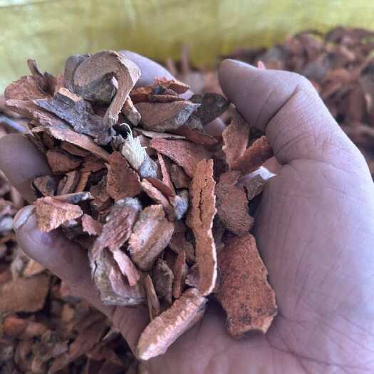 丘北县土茯苓碎碎