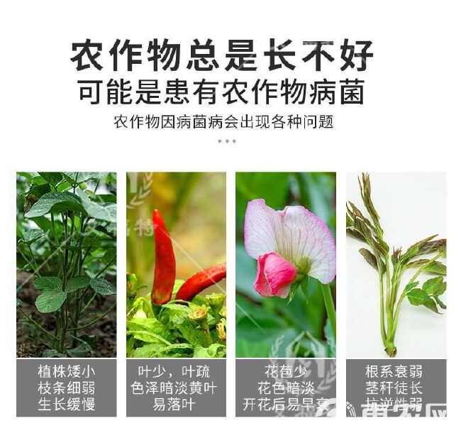 30%甲霜恶霉灵甲霜噁霉灵 苗期立枯病杀菌剂甲霉恶霜灵正品恶