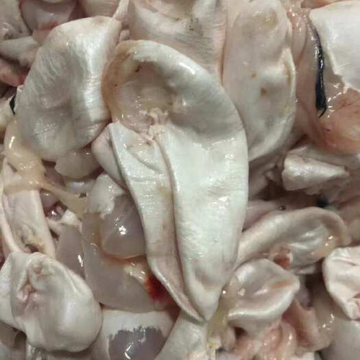 沈阳白鲢鱼内泡