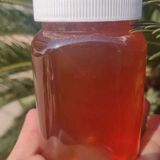 长葛市蜂蜜，蜂巢蜜大量批发，一件代发包邮