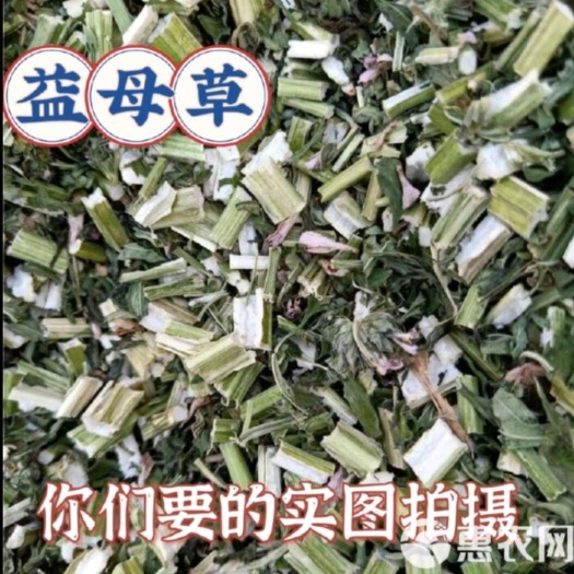 亳州益母草