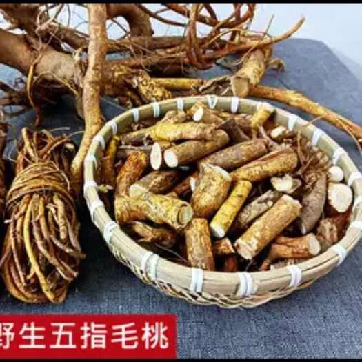 西林县五指毛桃