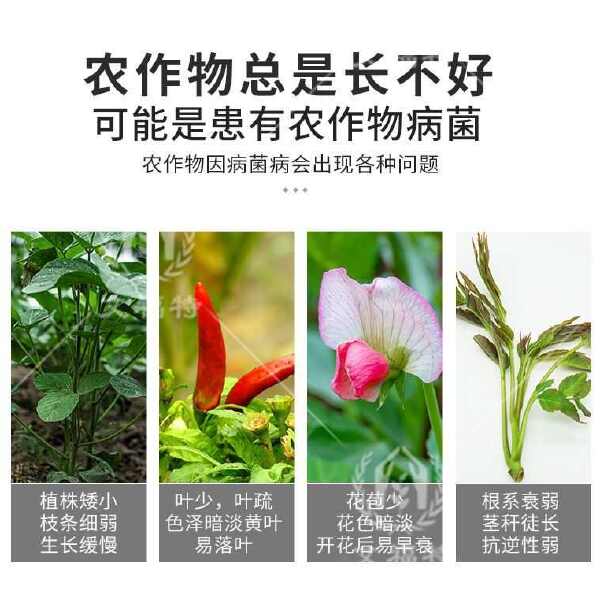 30%甲霜恶霉灵甲霜噁霉灵 苗期立枯病杀菌剂甲霉恶霜灵正品恶