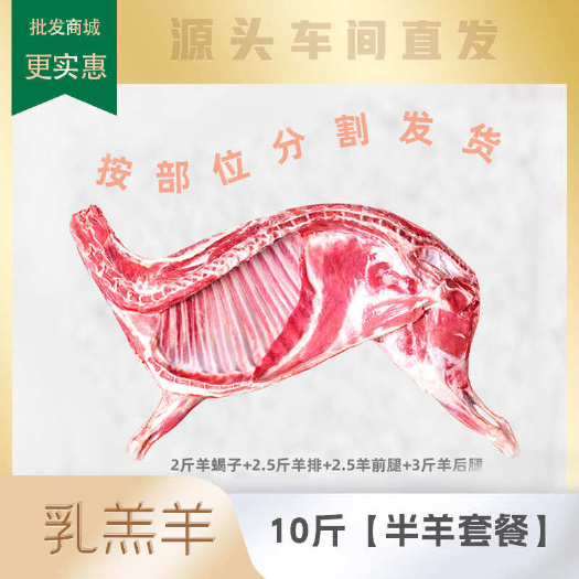 永昌县乳羔羊（半羊套餐）10斤/件 新鲜现杀半只羊 羊前腿羊后腿羊