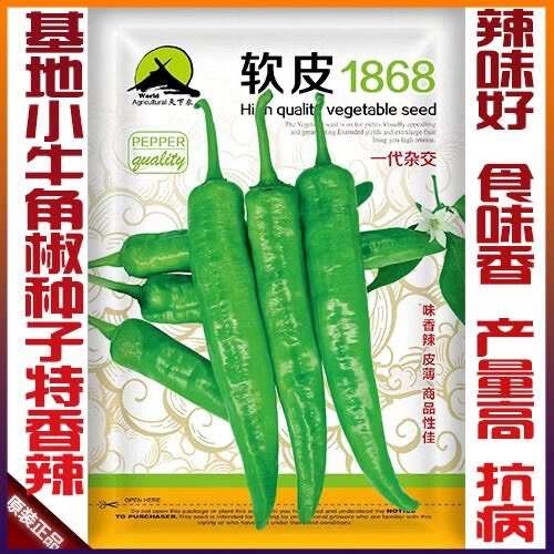 凯里市湖南软皮辣椒种子小牛角辣椒种子特香辣辣椒种子羊角椒种子辣椒种