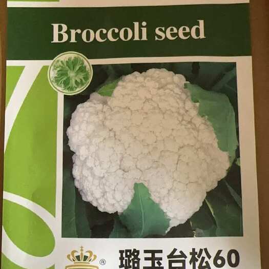 曲周县台松60-80松花种子有机菜花种子花菜种子不遮盖洁白小米粒