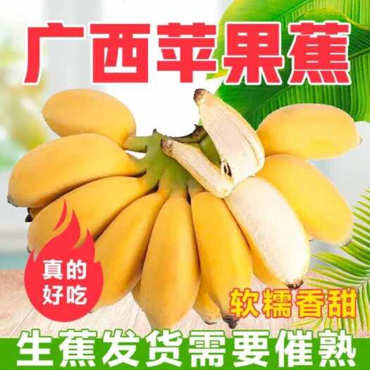 苹果蕉广西苹果蕉粉蕉新鲜水果软糯香甜小米蕉现摘发货