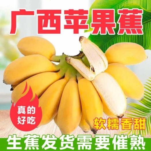 南宁苹果蕉广西苹果蕉粉蕉新鲜水果软糯香甜小米蕉现摘发货