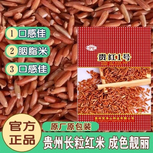 凯里市贵州长粒红米水稻种子胭脂米种特色红米种子长粒红籼稻早晚稻种子