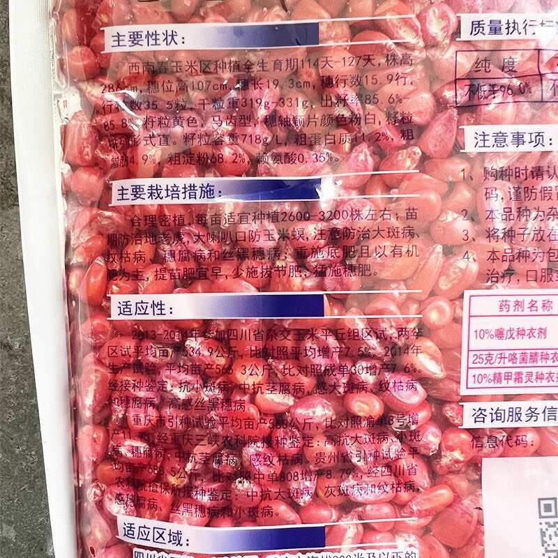 华龙玉520玉米种子川审玉杂交种马齿型玉米种云贵川春播包谷种