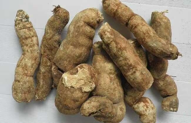 会昌县江西地道药材粉防己，鲜货，干货，江西粉防己。