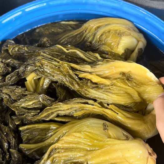  酸菜