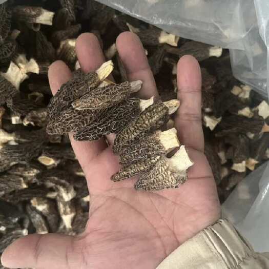 成都羊肚菌产地批发头茬羊肚菌干货云南特产电商一件代发