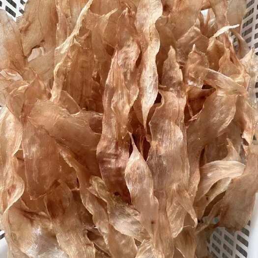  鳗鱼胶