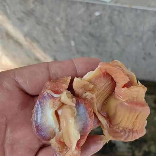 沂水县鸡胗