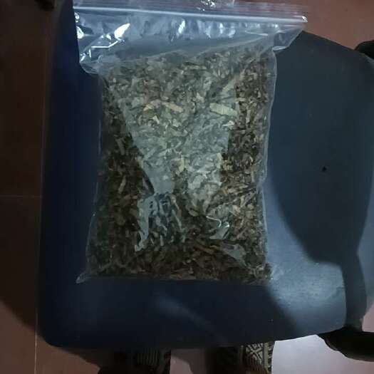 湘潭县霜后桑叶茶桑尖茶桑叶茶