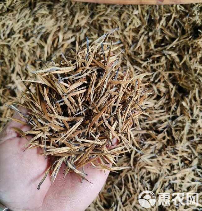 滇红茶单芽红茶 云南凤庆滇红大金针针 蜜香浓香型古树红茶散装